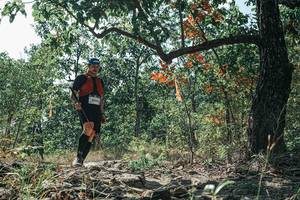 BIB: 
                            <button type="button" onclick="openModal(26113533)" class="btn btn-primary btn-sm float-right btn-popup" data-toggle="modal" data-target=".modal-high-quality">
                        <i class="fas fa-shopping-cart"></i> Add to Cart
                    </button>
                                            <button type="button" onclick="isThisMe(26113533, true)" class="btn btn-success btn-sm float-right btn-popup btn-isme hidden" data-toggle="tooltip" data-placement="bottom" title="นี่คือรูปของคุณใช่ไหม คลิกที่นี่เพื่อเอาเข้าอัลบั้ม">
                        <i class="fas fa-plus"></i> Add to album
                    </button>
                    <button type="button" onclick="isThisMe(26113533, false)" class="btn btn-warning btn-sm float-right btn-popup btn-isnotme hidden">
                        <i class="fas fa-ban"></i> Remove from album
                    </button>